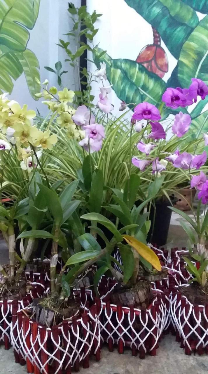 Villa Siam & Spa بانكوك المظهر الخارجي الصورة