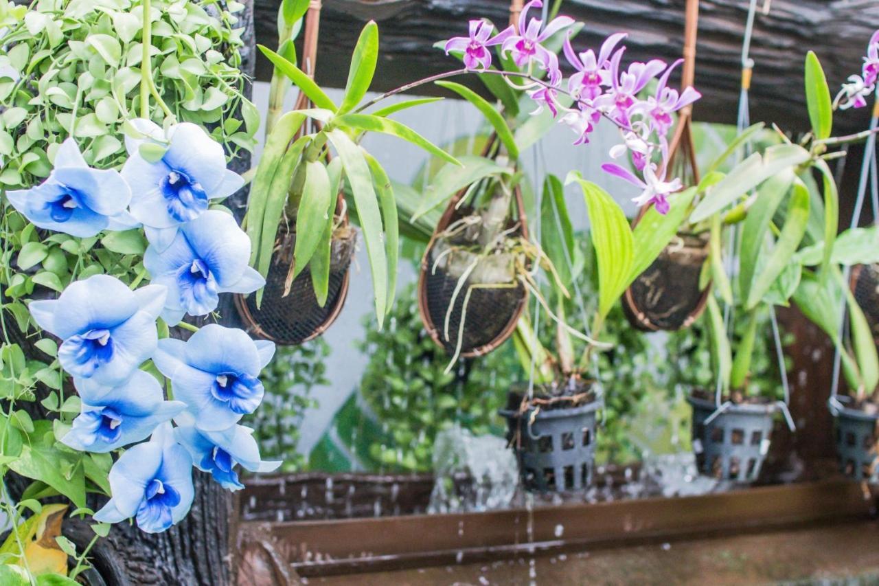 Villa Siam & Spa بانكوك المظهر الخارجي الصورة